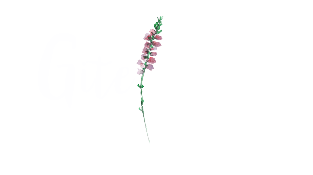 sauvegarde.gitedesreys.fr